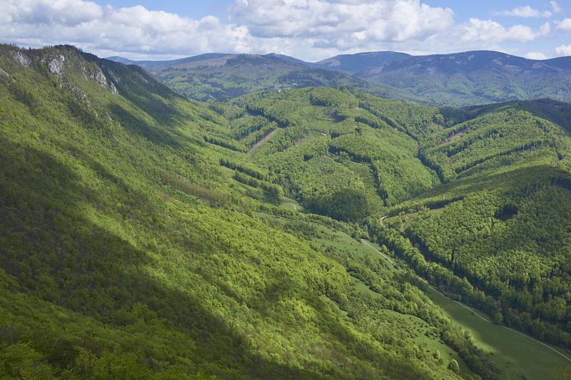 Muránska Planina a okolí